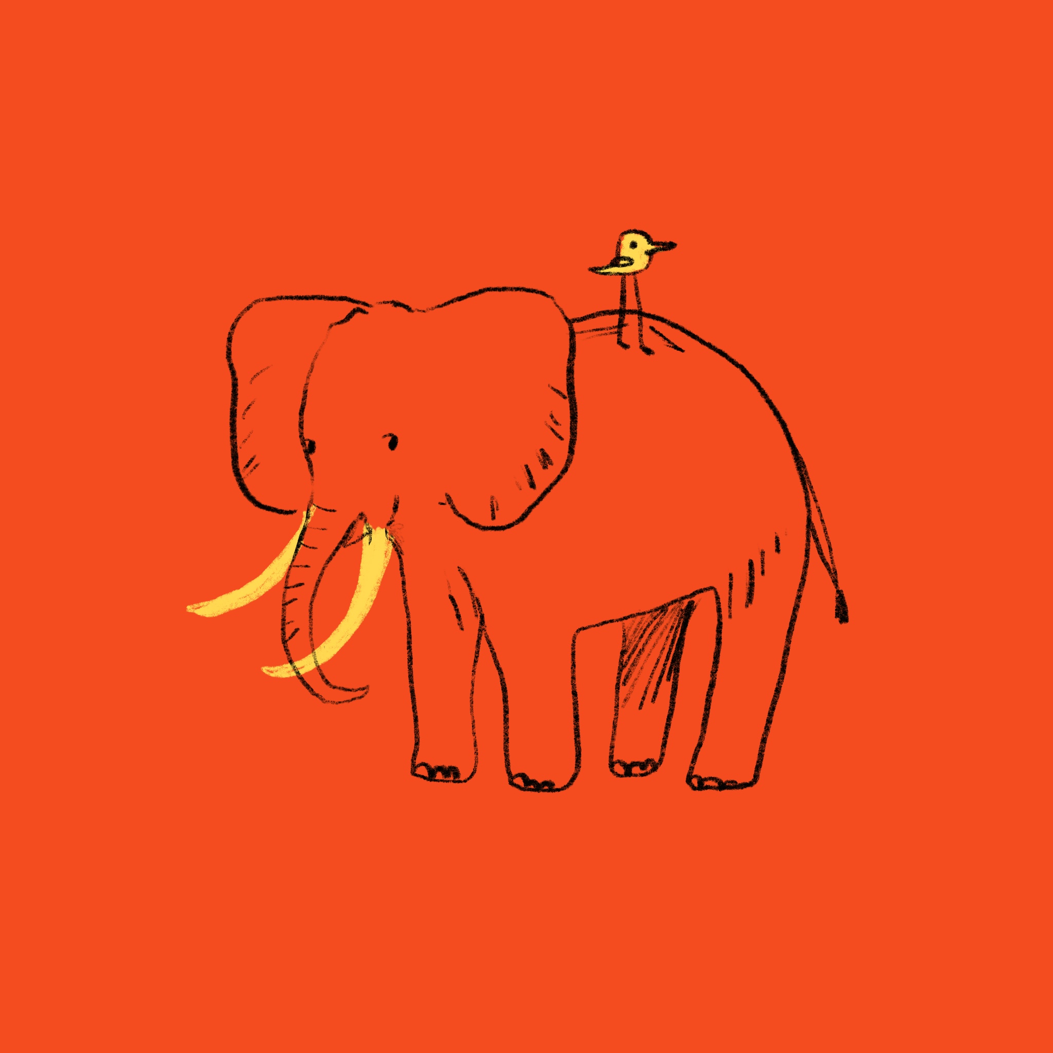 Aleesha's drawing of an elephant